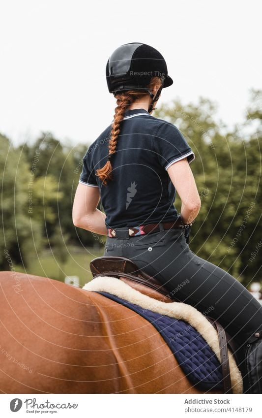 Weiblicher Jockey auf Pferd im Park Mitfahrgelegenheit Reiterin Frau Pferderücken Dressur Training Kastanie Tier pferdeähnlich Besitzer Haustier Säugetier grün