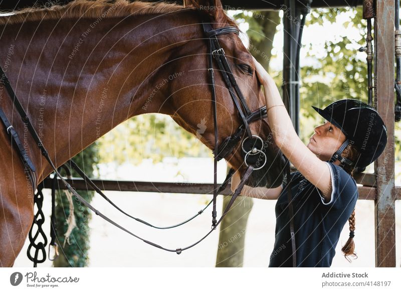 Weiblicher Jockey legt Pferd Zaumzeug an Frau Pferdestall vorbereiten angezogen Reiterin Tier beschäftigt Werkzeug Gerät Zügel pferdeähnlich jung Konzentration