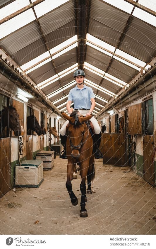 Reiterin reitet Pferd in Scheune Pferderücken Mitfahrgelegenheit Frau Dressur Pferdestall Jockey Kastanie Zügel Zaumzeug Tier pferdeähnlich Besitzer Haustier