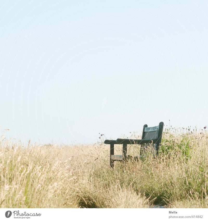 Ruheplatz Umwelt Natur Landschaft Sommer Gras Wiese Bank Erholung natürlich Sehnsucht Pause ruhig Zeit leer frei Sitzgelegenheit Farbfoto Außenaufnahme