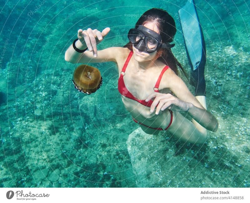 Taucherinnen erforschen Unterwassertiere Frau unter Wasser Qualle Tier Mundschutz Schutzbrille Meer Leben erkunden MEER Schnorchel Tauchgerät schwimmen jung