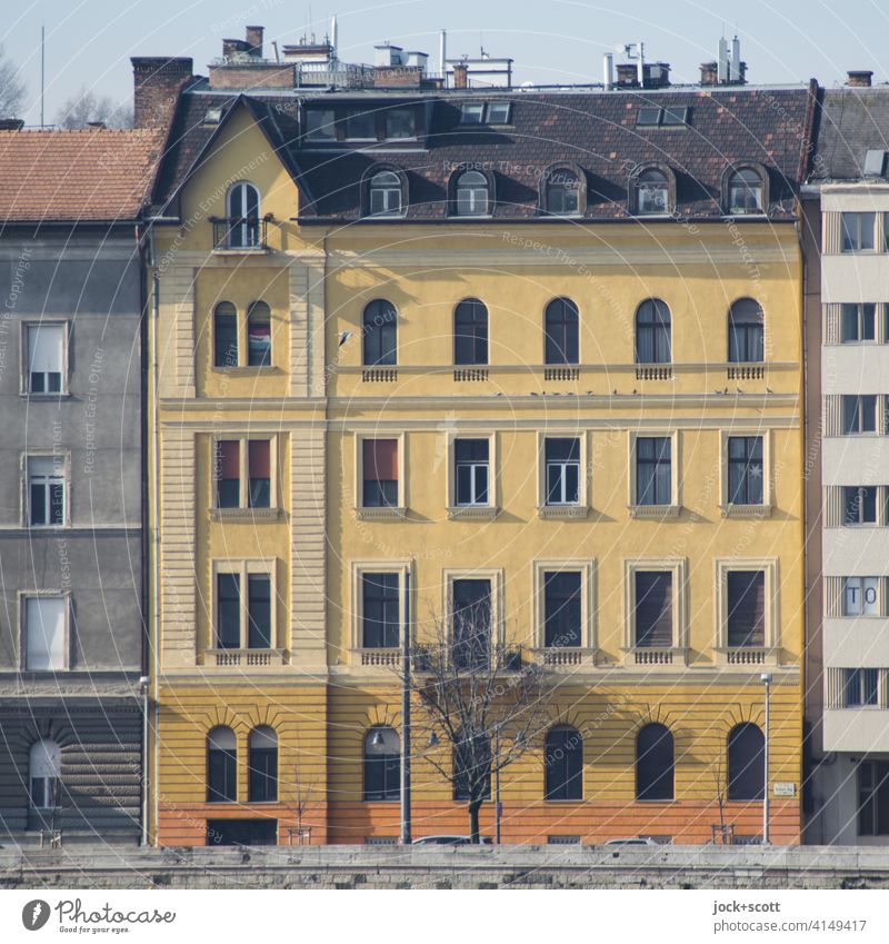 Budapester Stadthaus Fassade Architektur Uferbefestigung authentisch orange Stil Sonnenlicht Farbgestaltung Strukturen & Formen kahler Baum Häuserzeile