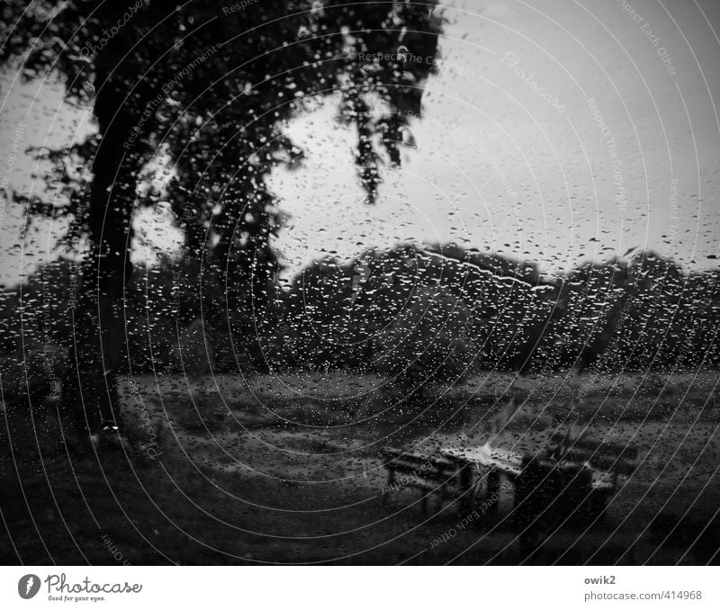 Grenzgebiet Umwelt Natur Landschaft Pflanze Wasser Wassertropfen Horizont Klima Wetter schlechtes Wetter Regen Baum Wald Autofenster Glas dunkel nass ruhig