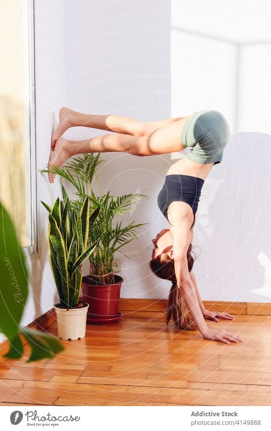 Friedliche Frau, die Yoga im unterstützten Kopfstand praktiziert üben Pose unterstützte Kopfstand-Pose urdhva dandasana beweglich fettarm Konzentration