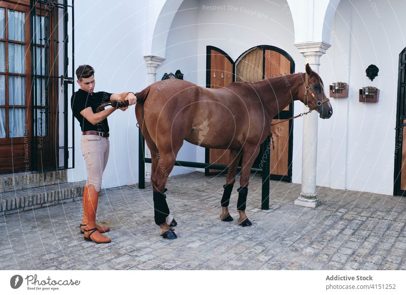 Junger Jockey mit fuchsfarbenem Pferd Geflecht Leitwerke Mann Reiterin Kastanie gehorsam Pflege pferdeähnlich Freund männlich professionell Ranch Tier Haustier