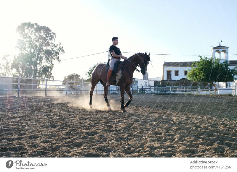 Männlicher Reiter auf fuchsfarbenem Pferd Dressur Reiterin Pferderücken Mann Mitfahrgelegenheit Sattelkammer Kastanie Arena reiter männlich Jockey Sand Ranch