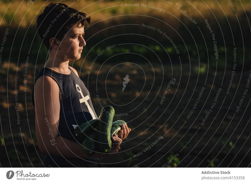 Junge mit Zucchiniernte im Feld stehend Kind Ernte reif Garten pflücken grün Gemüse frisch stolz organisch Ackerbau Bauernhof natürlich kultivieren Lebensmittel