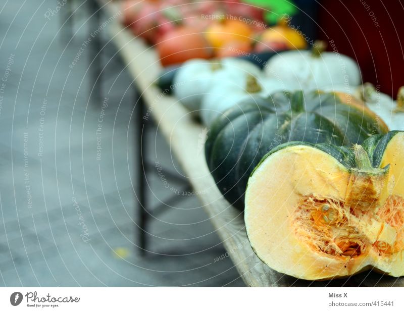 Kürbiszeit Lebensmittel Gemüse Ernährung Bioprodukte Vegetarische Ernährung frisch Gesundheit lecker Wochenmarkt Gemüsehändler Gemüseladen Gemüsemarkt Markt