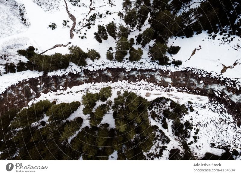 Gefrorener Fluss im Wald im Winter gefroren Wälder nadelhaltig Schnee Winterzeit Landschaft Immergrün Deutschland Österreich erstaunlich Frost malerisch Saison