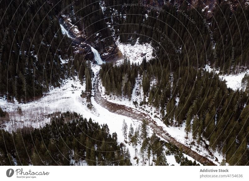 Gefrorener Fluss im Wald im Winter gefroren Wälder nadelhaltig Schnee Winterzeit Landschaft Immergrün Deutschland Österreich erstaunlich Frost malerisch Saison