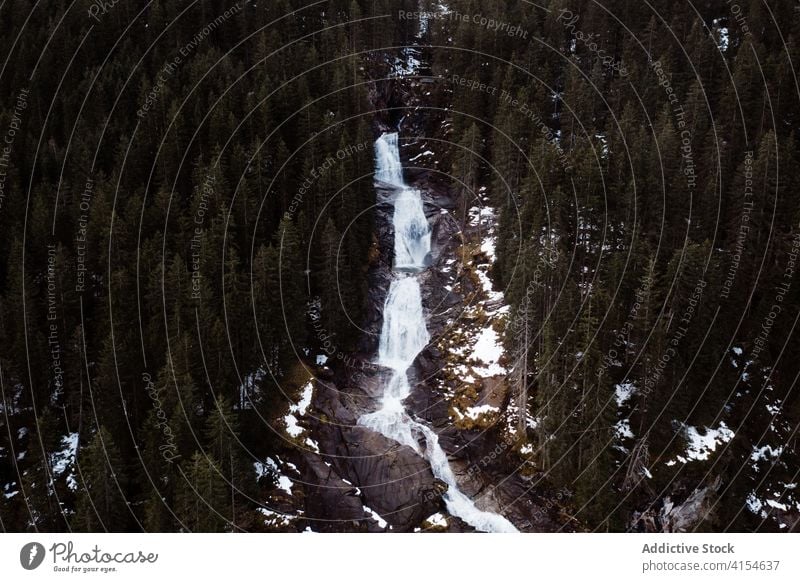 Gefrorener Fluss im Wald im Winter gefroren Wälder nadelhaltig Schnee Winterzeit Landschaft Immergrün Deutschland Österreich erstaunlich Frost malerisch Saison