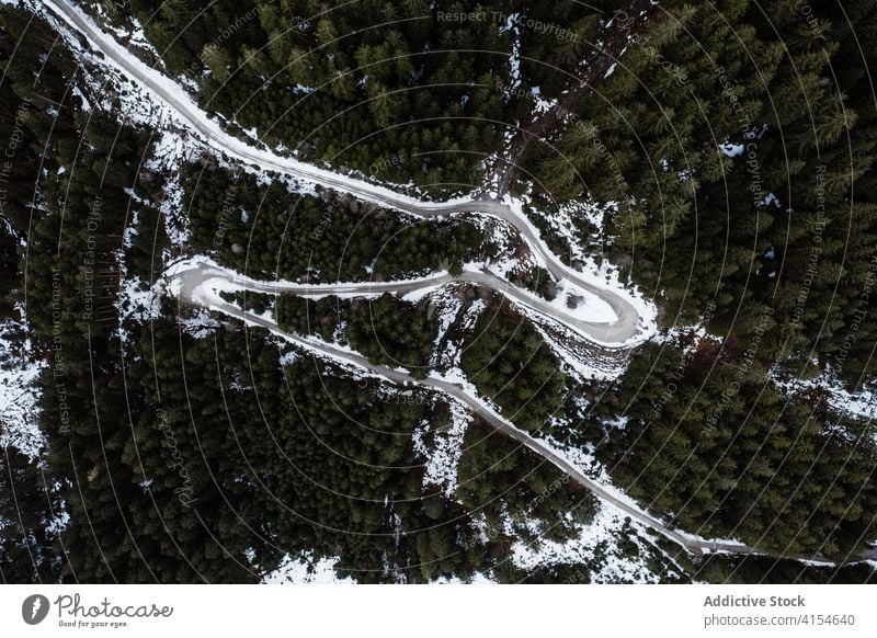 Gefrorener Fluss im Wald im Winter gefroren Wälder nadelhaltig Schnee Winterzeit Landschaft Immergrün Deutschland Österreich erstaunlich Frost malerisch Saison