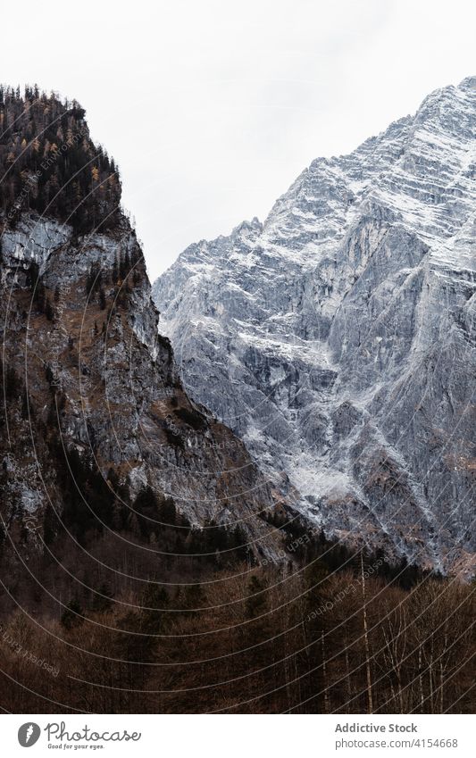 Schroffer, felsiger Berghang mit Schnee und Wald bedeckt Berge u. Gebirge Felsen rau Kamm kalt trist majestätisch Natur Landschaft grau Herbst Wetter Saison