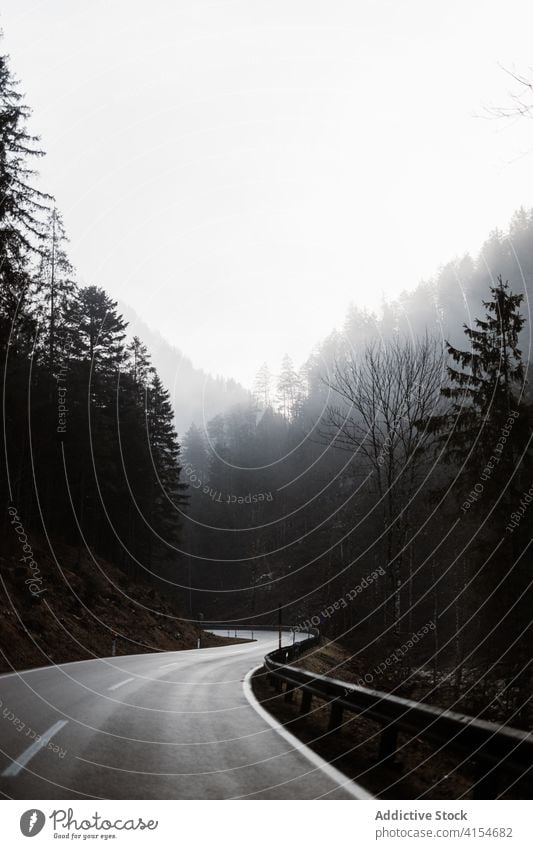 Asphaltstraße durch Wald in bergigem Gelände Straße Berge u. Gebirge Kurve Nebel Fahrbahn Natur Landschaft Route reisen Weg Umwelt leer nadelhaltig Baum