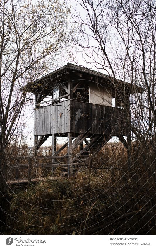 Verwittertes Holzgebäude im herbstlichen Wald Gebäude Baracke hölzern Wälder Herbst Landschaft verwittert Stelzenläufer gealtert fallen Nutzholz Baum Saison