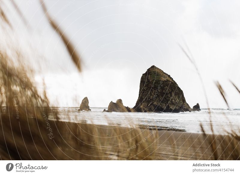 Meeresufer an einem bewölkten Tag im Herbst Meereslandschaft Strand wolkig Ufer MEER Küste Natur Felsen trist bedeckt USA Vereinigte Staaten amerika Landschaft