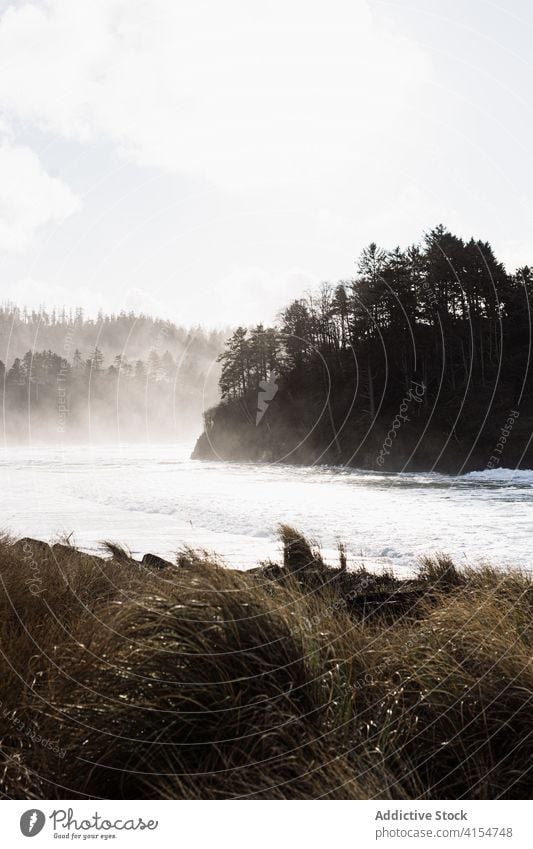 Beeindruckende Flusslandschaft im Hochlandwald Morgen Nebel Berge u. Gebirge Landschaft strömen ruhig USA Vereinigte Staaten amerika Gelände Wälder Natur