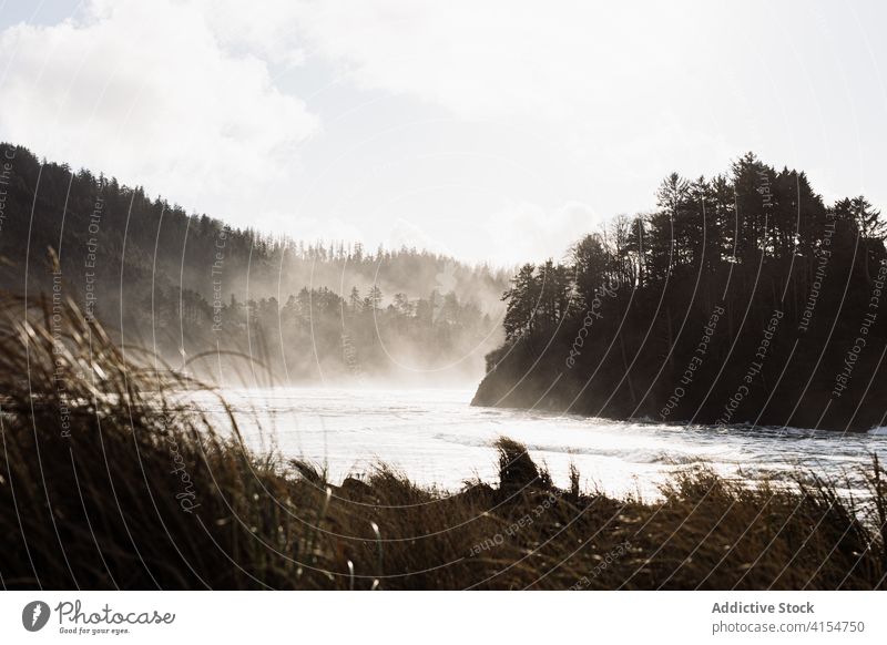 Beeindruckende Flusslandschaft im Hochlandwald Morgen Nebel Berge u. Gebirge Landschaft strömen ruhig USA Vereinigte Staaten amerika Gelände Wälder Natur