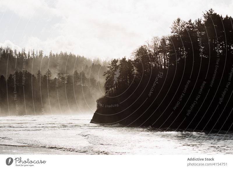 Beeindruckende Flusslandschaft im Hochlandwald Morgen Nebel Berge u. Gebirge Landschaft strömen ruhig USA Vereinigte Staaten amerika Gelände Wälder Natur