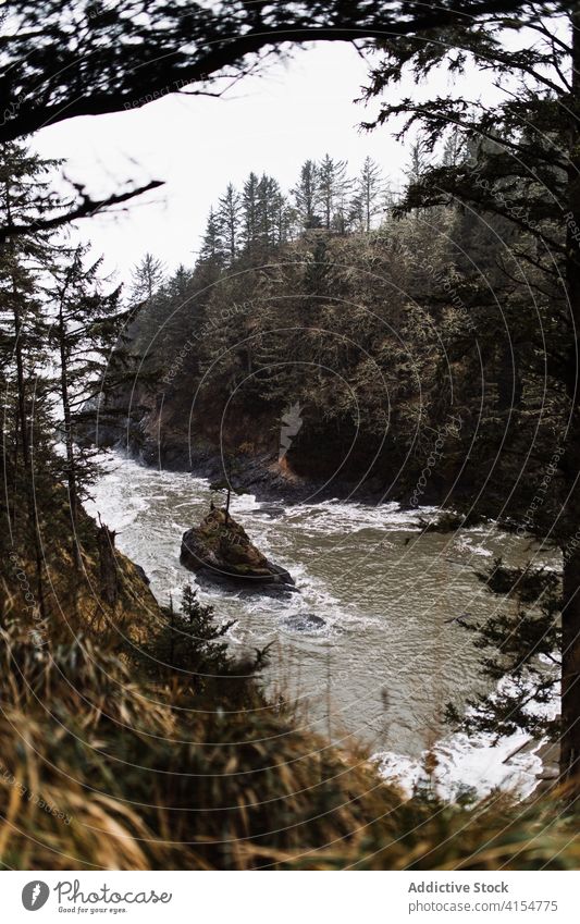 Fluss zwischen Felsen an einem bewölkten Tag Gelände fließen schnell Saison Herbst wolkig strömen felsig USA Vereinigte Staaten amerika bedeckt Wasser Umwelt