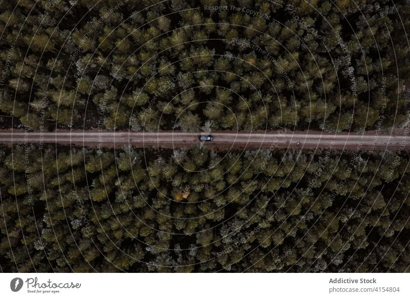 Erstaunlicher Blick auf die Straße durch den Wald PKW Laufwerk Wälder nadelhaltig Automobil Winter Natur Landschaft Schottisches Hochland Schottland