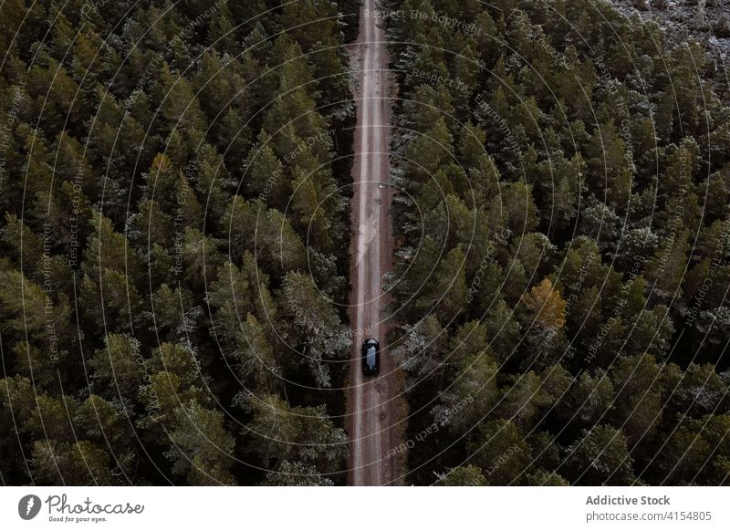 Erstaunlicher Blick auf die Straße durch den Wald PKW Laufwerk Wälder nadelhaltig Automobil Winter Natur Landschaft Schottisches Hochland Schottland