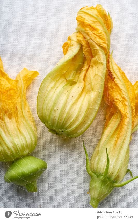 Flachleger mit Zucchiniblüten Blume Squash Gemüse gelb Lebensmittel frisch organisch Diät Vegetarier orange roh Gesundheit Pflanze essbar Blütenknospen