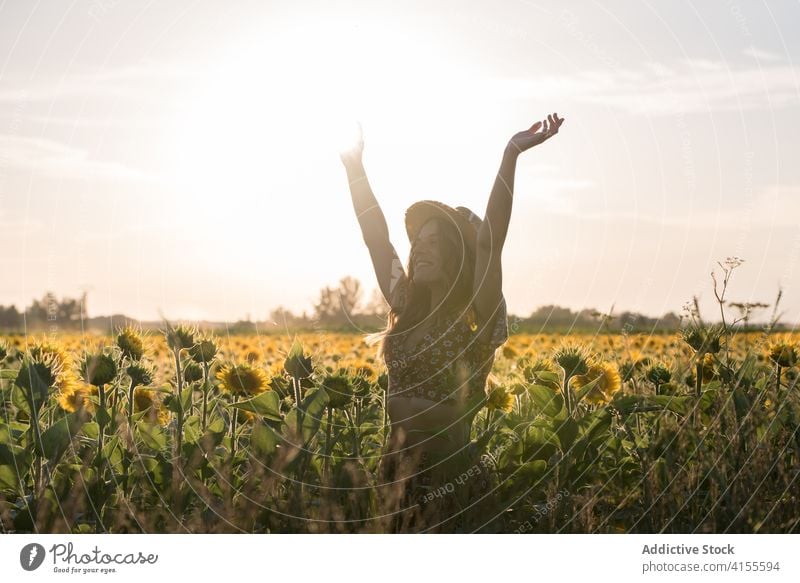 Junge Frau hat Spaß in Sonnenblumenfeld Feld Sommer Glück genießen Freiheit sorgenfrei Spaß haben Blume Blütezeit Natur Harmonie heiter jung Hut Landschaft