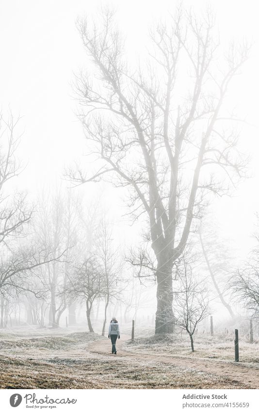 Unerkennbare Frau zu Fuß auf nebliger Straße auf dem Lande Nebel Gasse Wald Landschaft kalt allein trist Weg Wanderung Natur Spaziergang Herbst Winter Saison