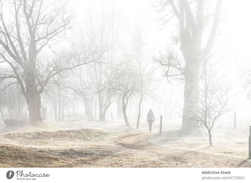 Unerkennbare Frau zu Fuß auf nebliger Straße auf dem Lande Nebel Gasse Wald Landschaft kalt allein trist Weg Wanderung Natur Spaziergang Herbst Winter Saison