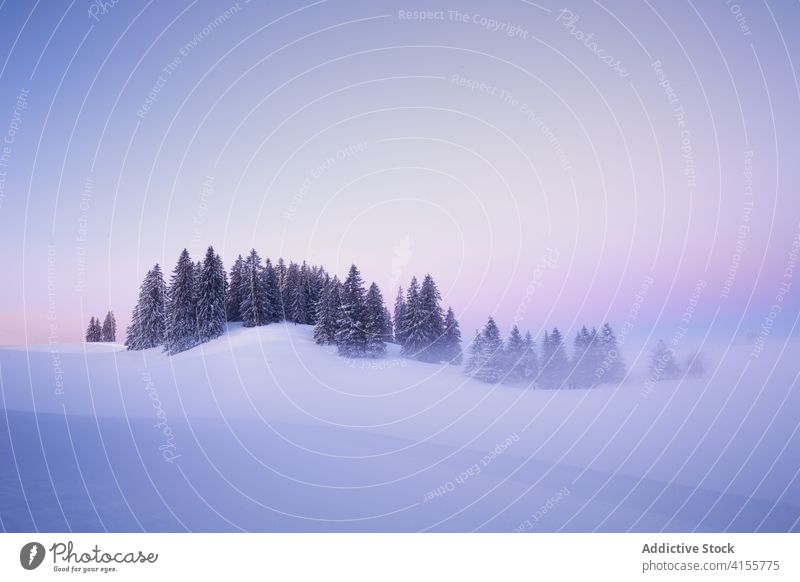 Verschneites Tal bei Sonnenuntergang Berge u. Gebirge Winter Schnee Landschaft kalt Natur Wald Saison einsam malerisch nadelhaltig Wälder ruhig Umwelt wild