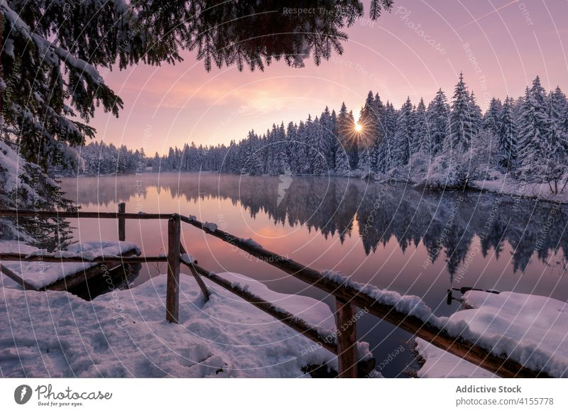 Kleiner See mit Holzsteg im Winterwald Wald Sonnenuntergang Natur nadelhaltig Pier Schnee Landschaft Windstille malerisch Reflexion & Spiegelung Sonnenlicht