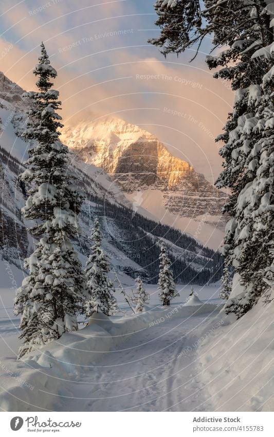 Winterlandschaft der Berge bei Sonnenuntergang Berge u. Gebirge Landschaft Straße Schnee Abend Saison kalt Hochland Gelände Himmel Natur Abenddämmerung ruhig