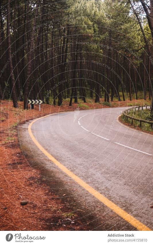 Kurvenreiche Asphaltstraße durch den Wald Straße Baum Natur leer Wind Fahrbahn eng reisen Landschaft Weg Route Umwelt Wälder Ausflugsziel Tourismus Laubwerk