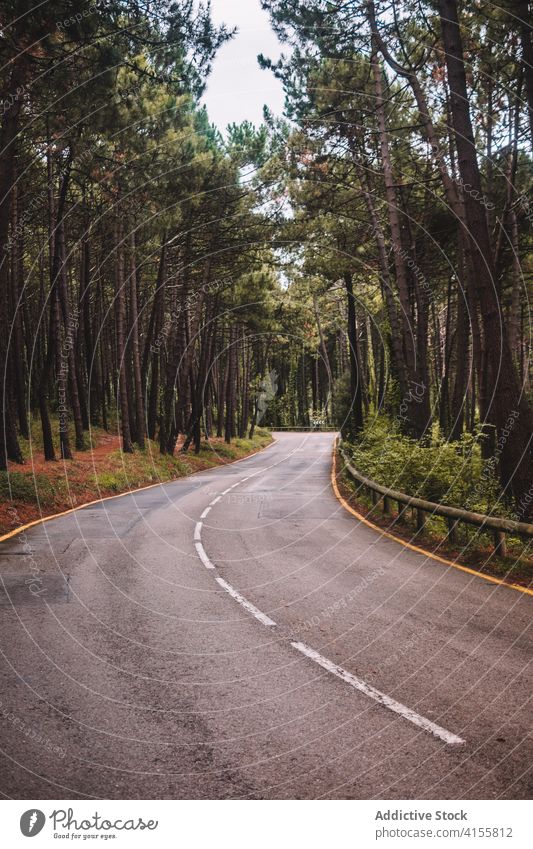 Kurvenreiche Asphaltstraße durch den Wald Straße Baum Natur leer Wind Fahrbahn eng reisen Landschaft Weg Route Umwelt Wälder Ausflugsziel Tourismus Laubwerk