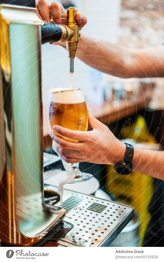 Crop Barkeeper gießt Bier in ein Glas Mann eingießen Wasserhahn Alkohol trinken männlich Pub Barmann liquide schäumen Dienst Beruf fokussiert Personal Typ