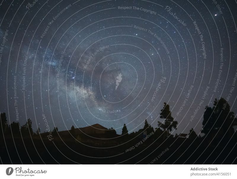 Sternenhimmel bei Nacht in den Bergen sternenklar Himmel Milchstrasse Wald Hochland Berge u. Gebirge glühen malerisch Baum Natur Landschaft ruhig Ausflug wild