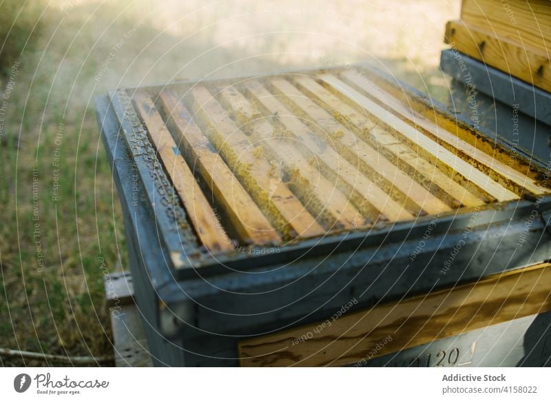 Bienenstock mit Honigwaben im Garten Wabe Liebling Bienenkorb Sommer Umwelt hölzern Bauernhof ländlich organisch Natur Dorf rustikal Land Ackerland sonnig