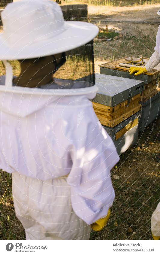 Imker bei der Arbeit im Bienenstock mit Smoker Raucherin Bienenkorb Dunst Sommer Zusammensein Garten Landschaft Arbeiter Natur Beruf Metall Gerät professionell