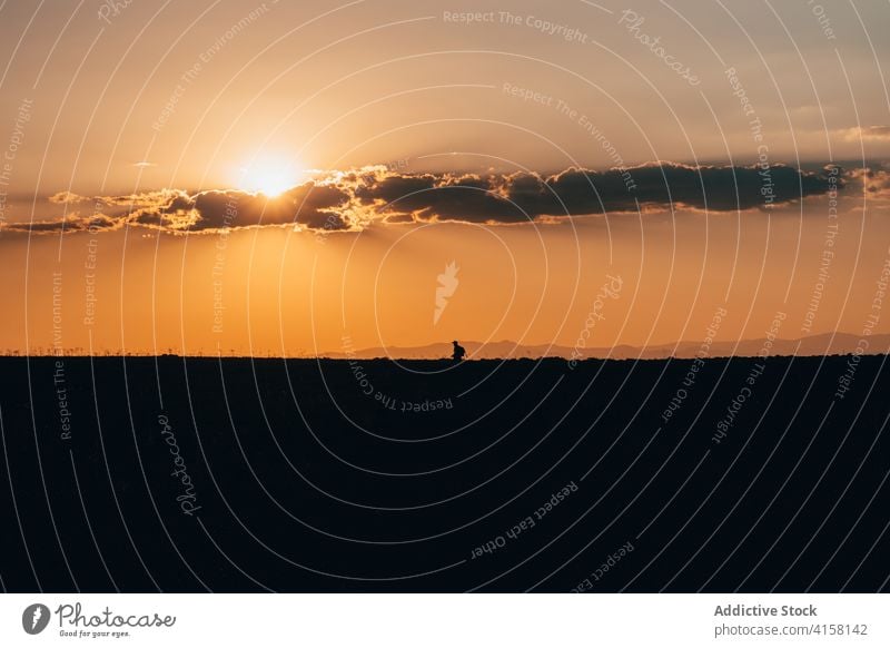 Reisende auf einem Feld bei Sonnenuntergang Silhouette Tourist Himmel orange Abenddämmerung Dämmerung reisen Wiese Sommer idyllisch Urlaub Spaziergang ruhig