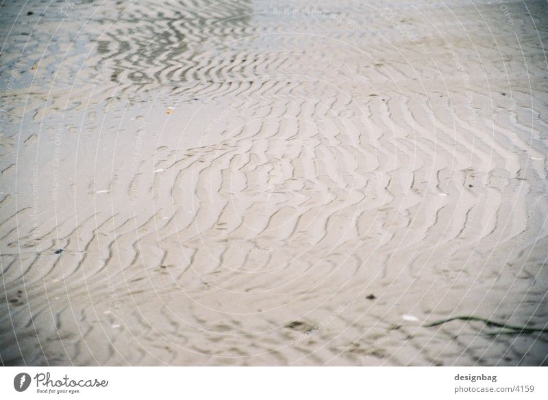 Spuren Strand Timmendorfer Strand Meer Strukturen & Formen