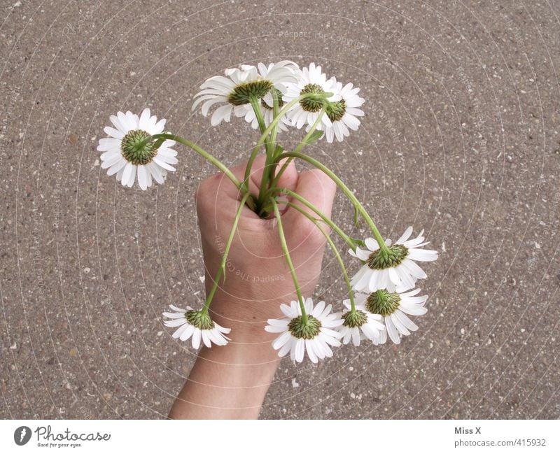 Liebe Grüße Muddi Valentinstag Muttertag Frühling Blume Blüte Blühend hängen verblüht dehydrieren Gefühle Stimmung Verliebtheit Romantik Traurigkeit Sorge