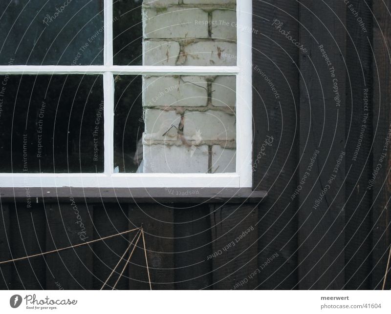 scheuneneinblick Scheune Fenster Holz Wand Fensterrahmen Architektur Glas Rahmen