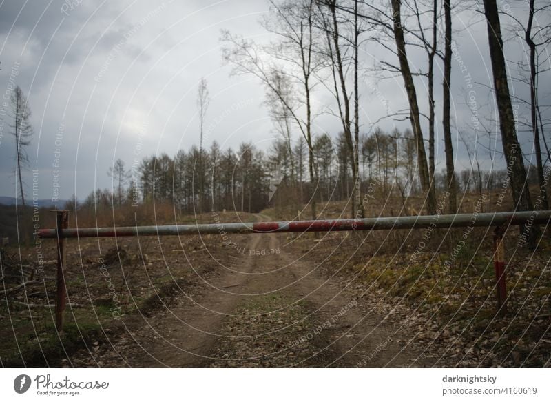 Schranke an einem Waldweg zu einem abgeholzten Forst nach einemBefall durch Borkenkäfer baumstämme Abholzung Zerstörung Waldsterben Umweltschutz Baumstamm Holz