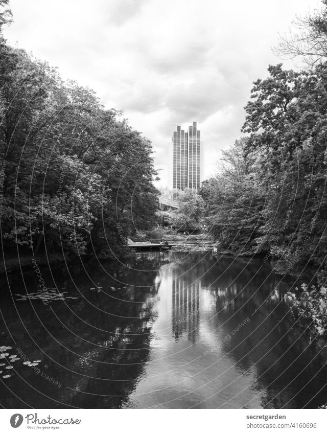 Ich sehe doppelt Hamburg Park Außenaufnahme Bäume Spiegelung im Wasser Architektur Hochhaus See Teich Lichtung Wolken Reflexion & Spiegelung Himmel Natur ruhig