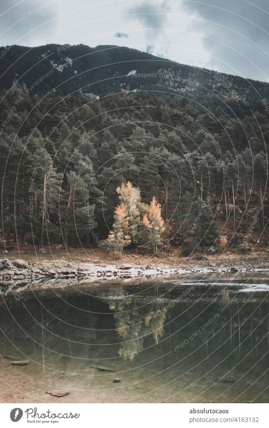 Reflektionen im See Natur im Freien erkunden Landschaft reisen Wasser Himmel Reflexion & Spiegelung schön malerisch Ansicht grün Wald natürlich Schönheit Umwelt