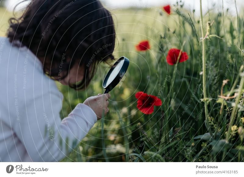 Kind betrachtet Mohnblumen mit Lupe 1-3 Jahre Kaukasier Mohnblüte Neugier authentisch Frühling Frühlingsgefühle Bildung lehrreich Sommer Umwelt Blühend Blüte