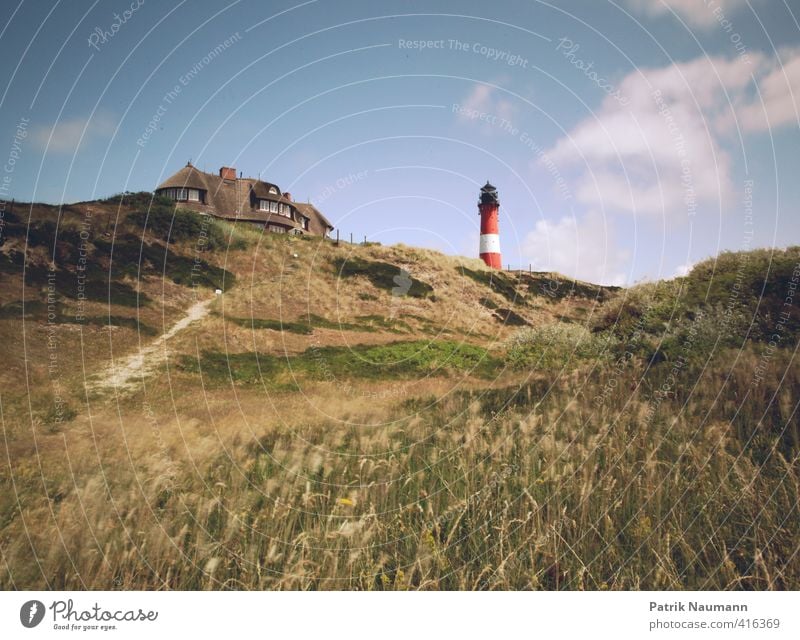 Leuchtturm in den Dünen Natur Landschaft Pflanze Himmel Wolken Schönes Wetter Wind Wärme Gras Sträucher Nordsee Ostsee Dünengras Haus Bauwerk Gebäude