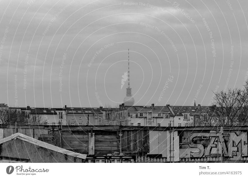 Prenzlauer Berg vom Mauerpark gesehen Fernsehturm Graffiti s/w Außenaufnahme Schwarzweißfoto Architektur Stadt Berlin Hauptstadt Stadtzentrum Menschenleer Tag