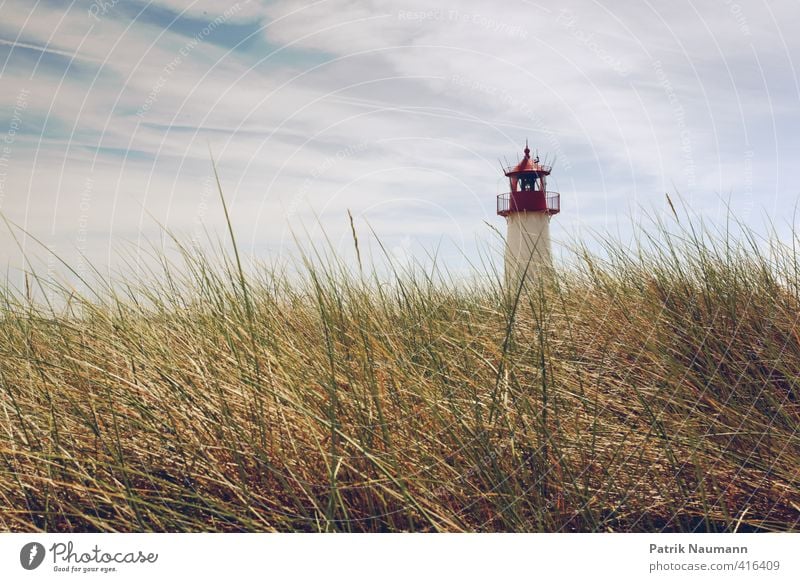 Leuchtturm im Ellenbogen Natur Landschaft Pflanze Himmel Wolken Schönes Wetter Wind Gras Sträucher Insel Sylt Bauwerk Gebäude Sehenswürdigkeit historisch